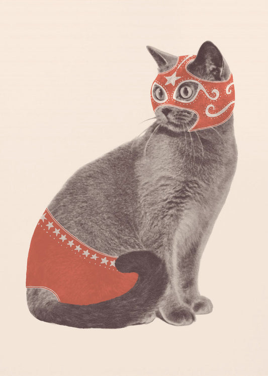 Chat Catcheur | Poster