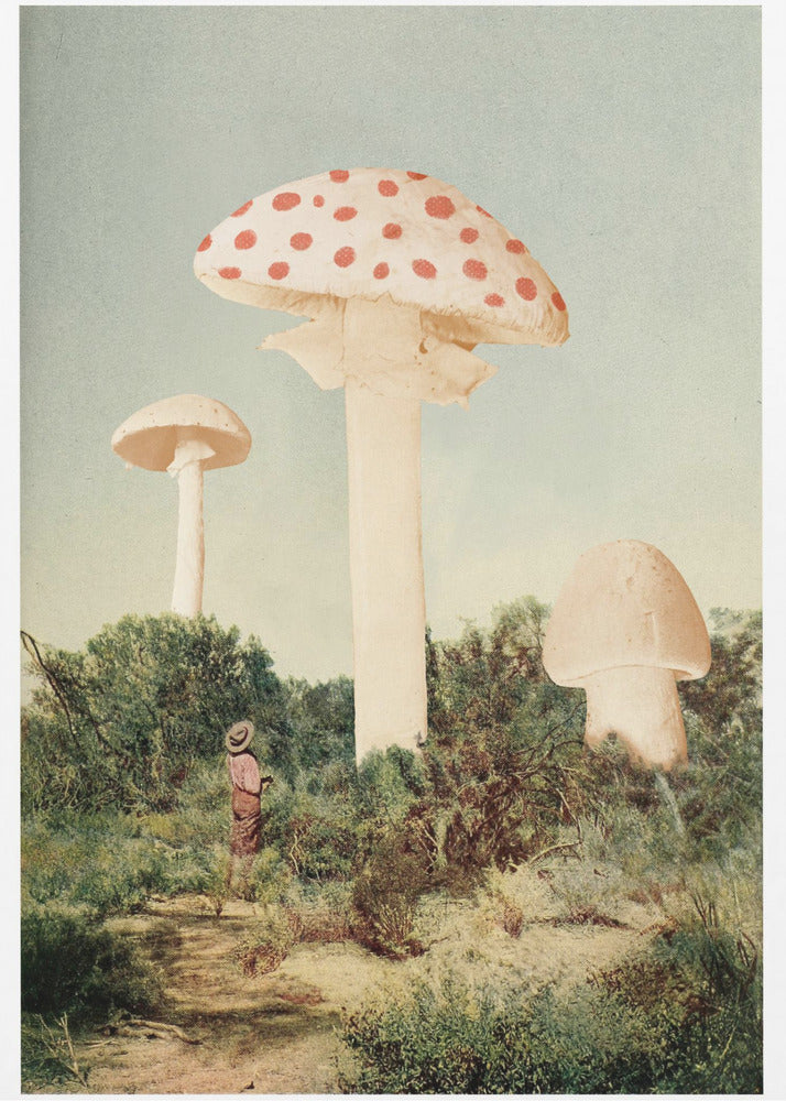 The Finest Giant Mushroom | Poster