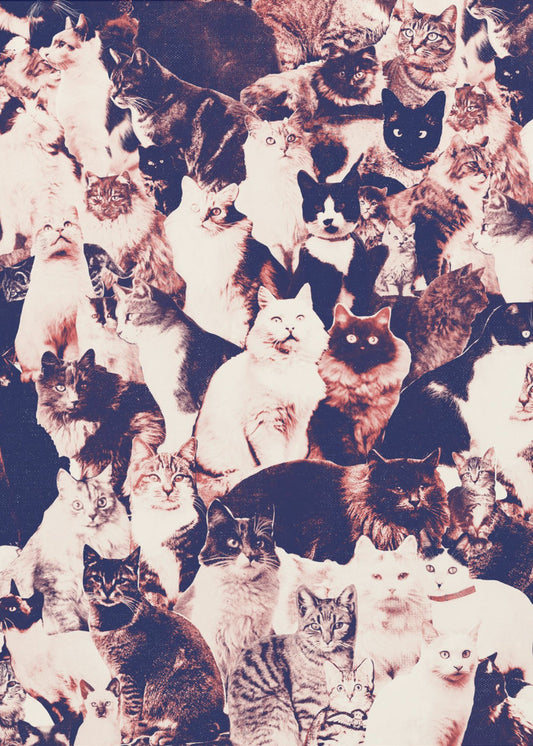 Cats Forever | Poster