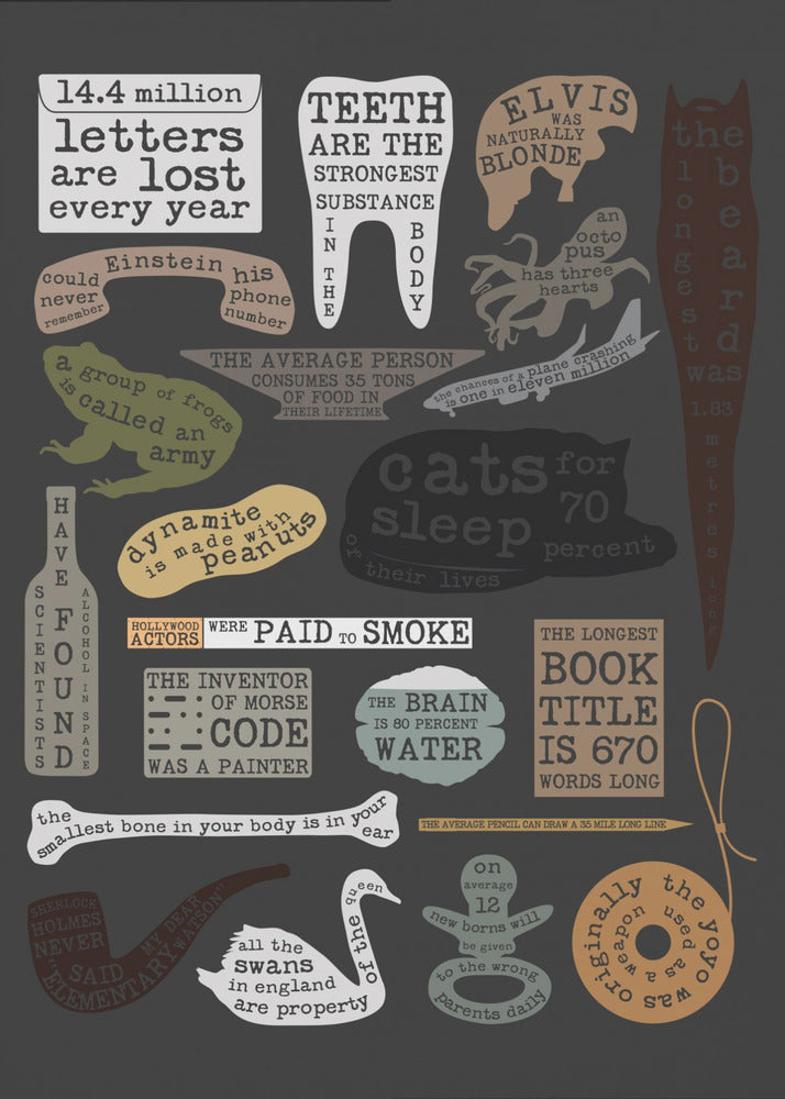 Useful Facts | Poster