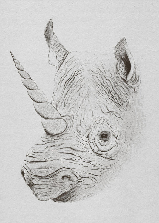 Rhinoplasty | Poster