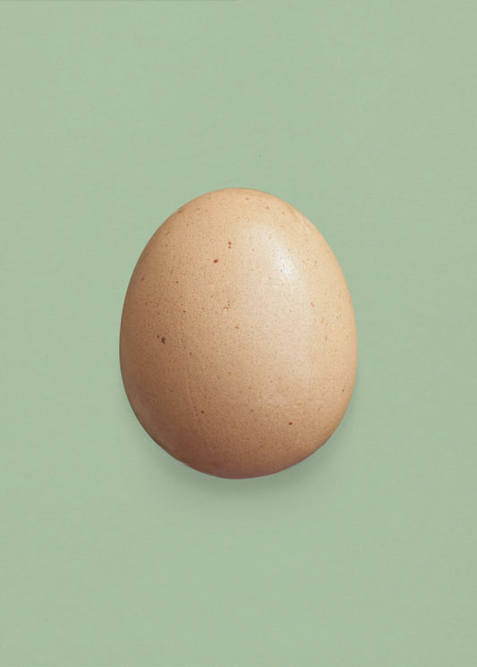 Just an Egg Main | Canvas