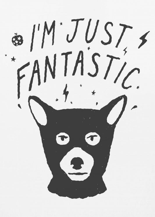 Im Just Fantastic | Canvas