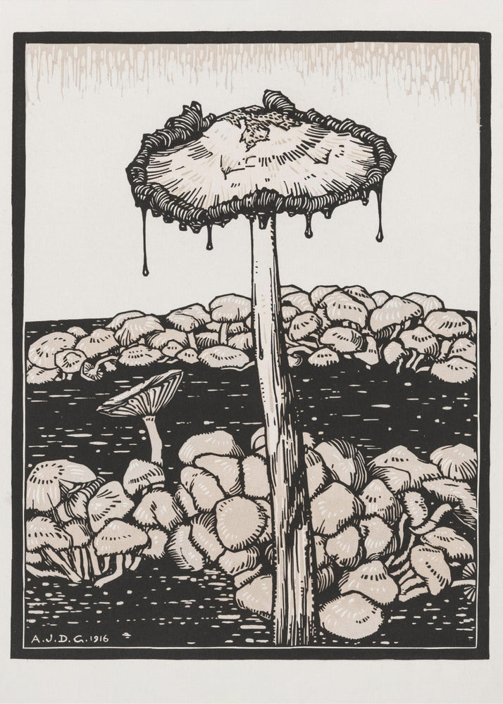 Dripping Mushroom 1916 | Canvas