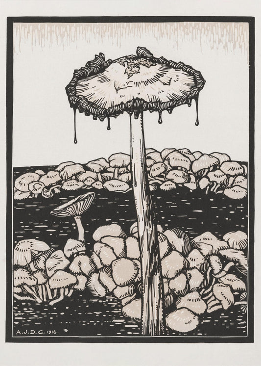 Dripping Mushroom 1916 | Canvas