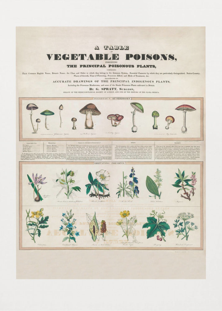 Poisonous Mushrooms Irritating Poisons | Canvas