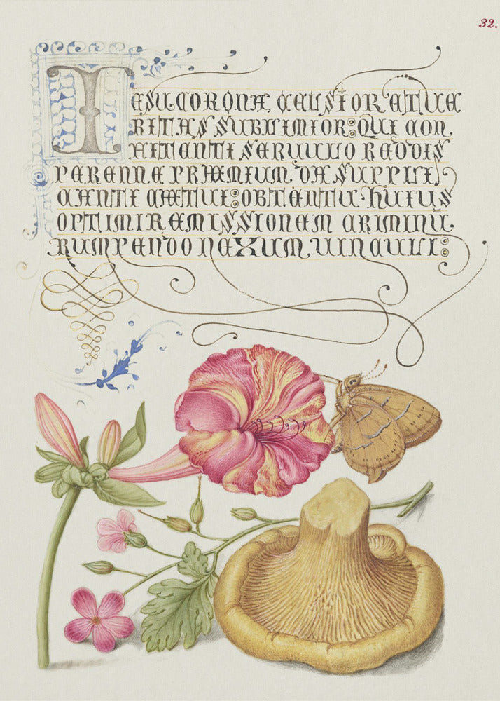 Mira Calligraphiae Monumenta | Canvas