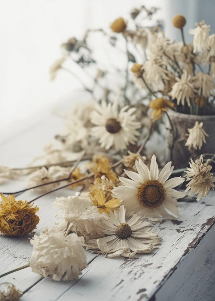 Faded Petals | Canvas