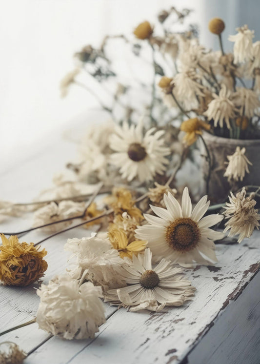 Faded Petals | Canvas