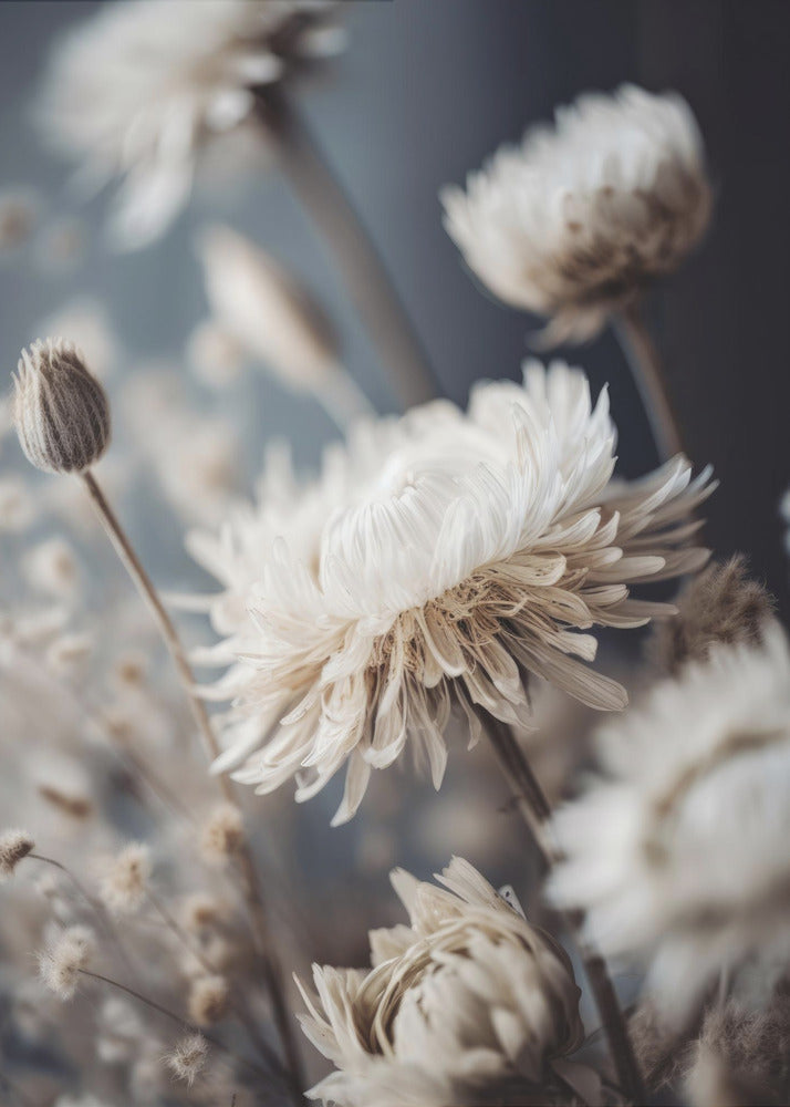 Petals in Whisper | Canvas