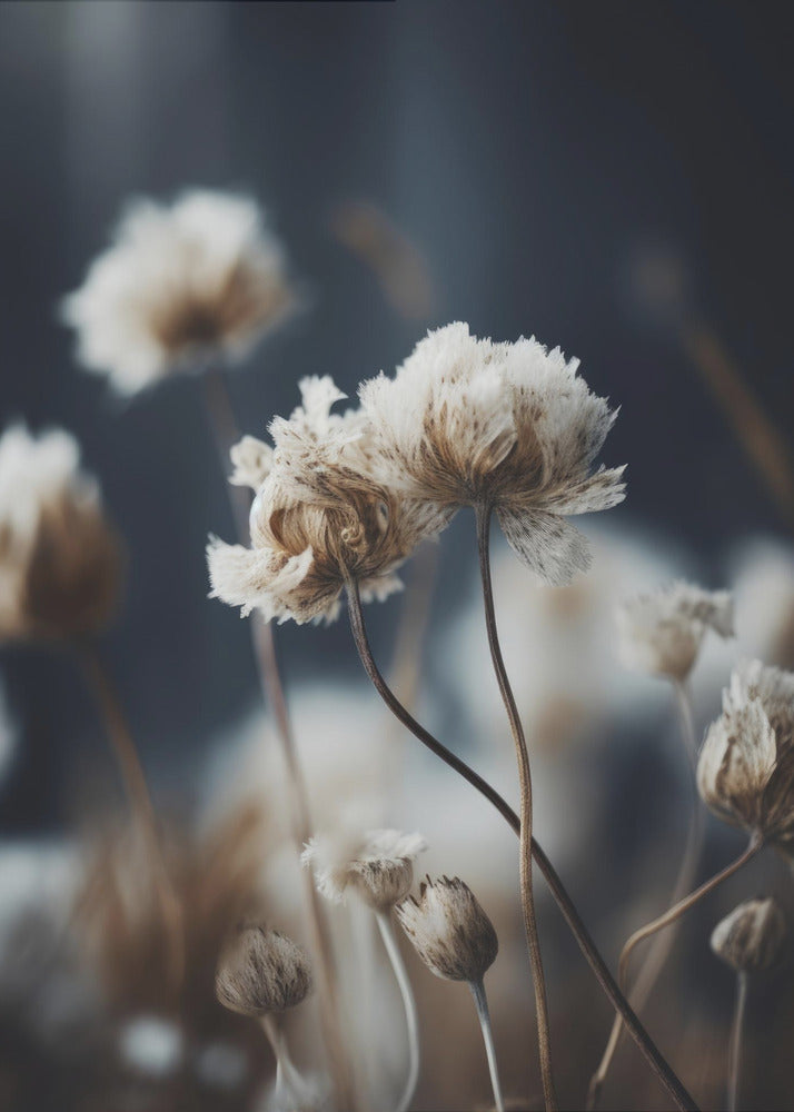 Whispers of Nature | Canvas