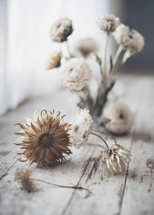 Nostalgic Blooms | Poster