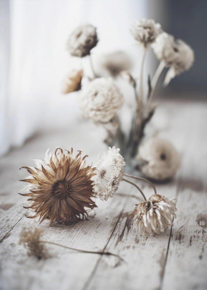 Nostalgic Blooms | Canvas