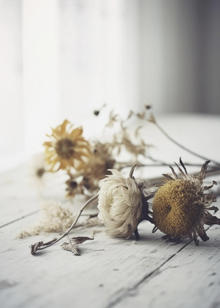 Faded Petals | Canvas