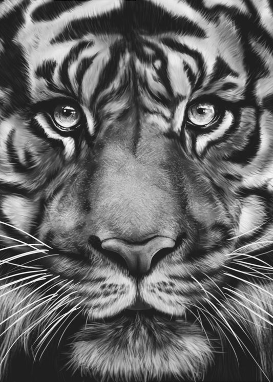 Tiger | Canvas