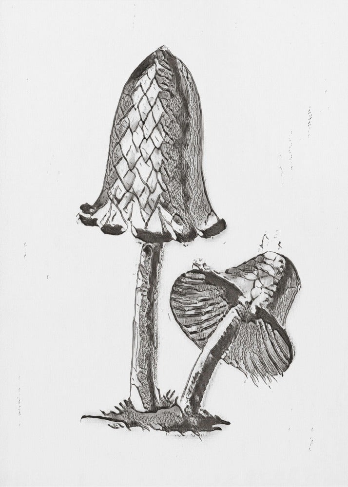 Vintage Inky Cap Edible Mushroom BW Bright | Poster