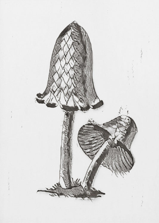 Vintage Inky Cap Edible Mushroom BW Bright | Poster