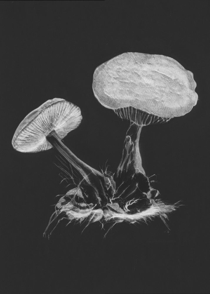 Vintage Violet Webcap Mushroom Dark BW | Poster