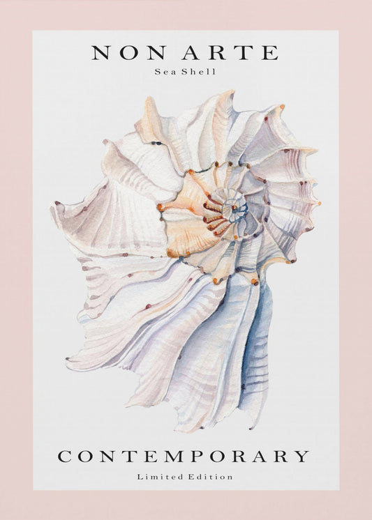 Non Arte Sea Shell no.1 | Canvas