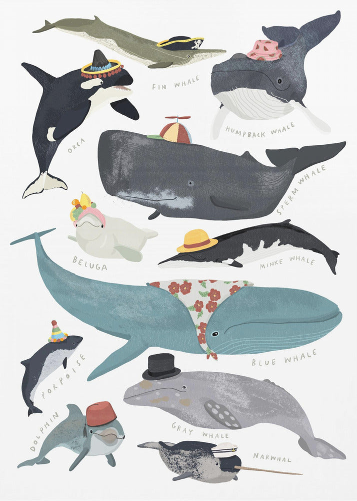 Whales In Hats | Poster