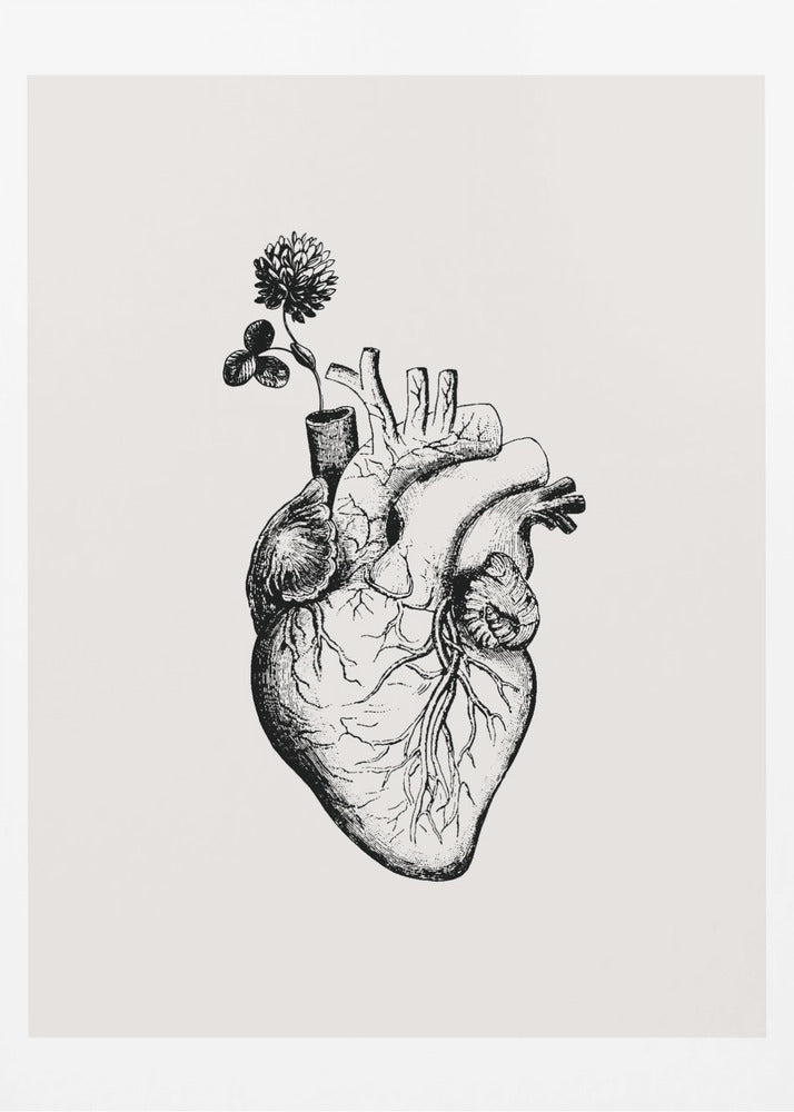 Heart Bloom | Poster