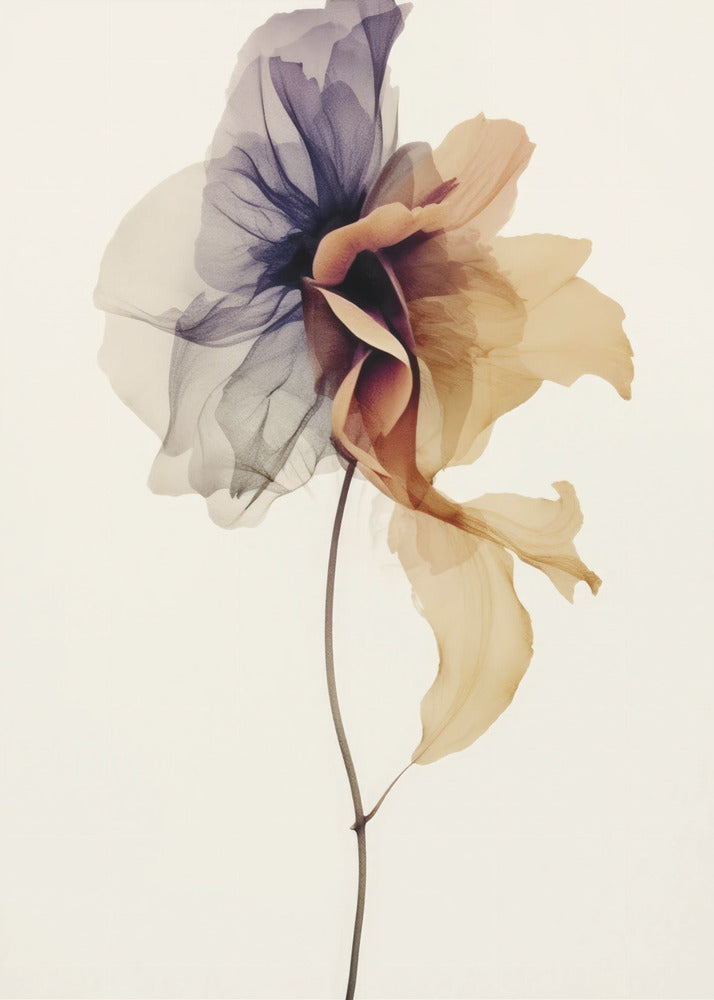Chiffon Flower | Canvas