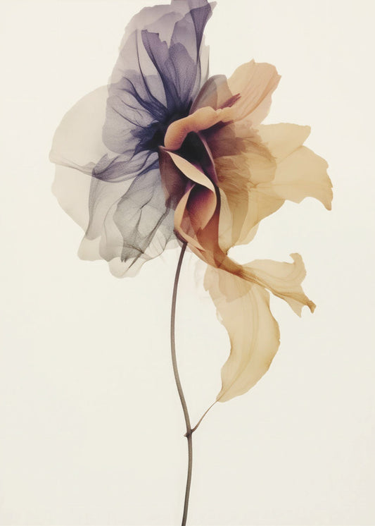 Chiffon Flower | Canvas