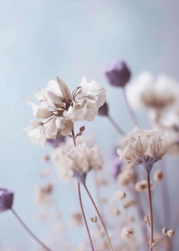 Whispering Blooms | Canvas