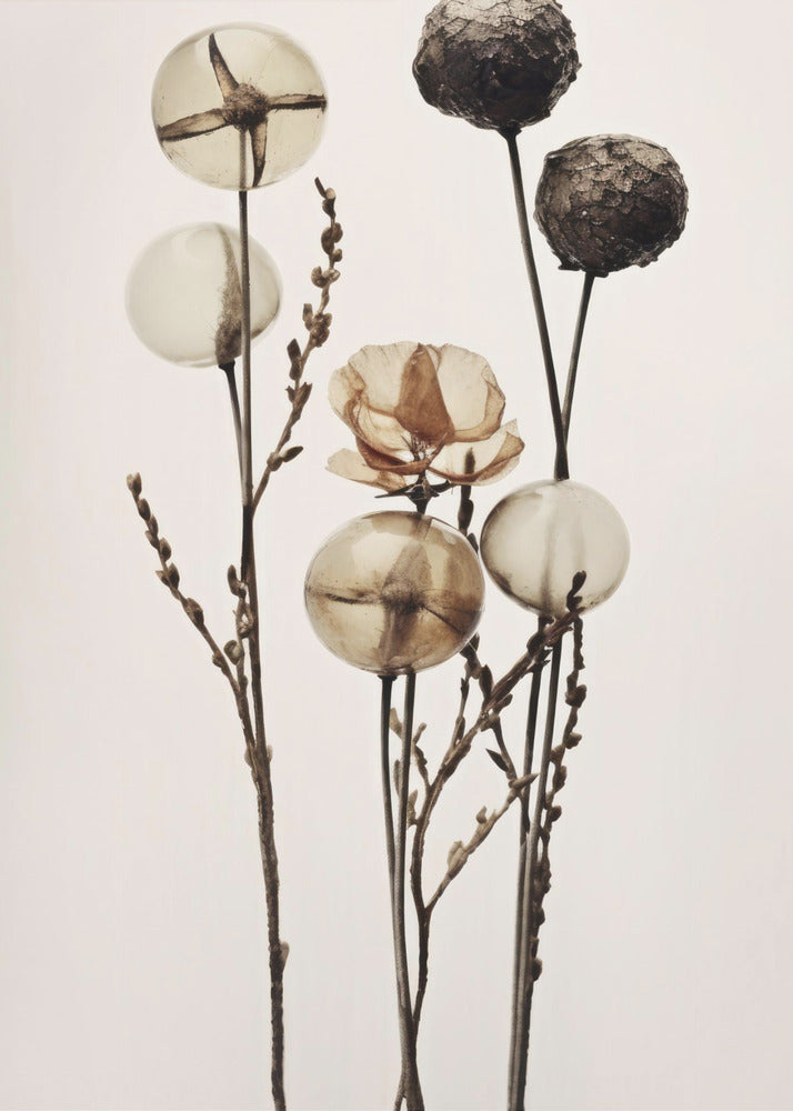 Glass Ball Flowers | Canvas