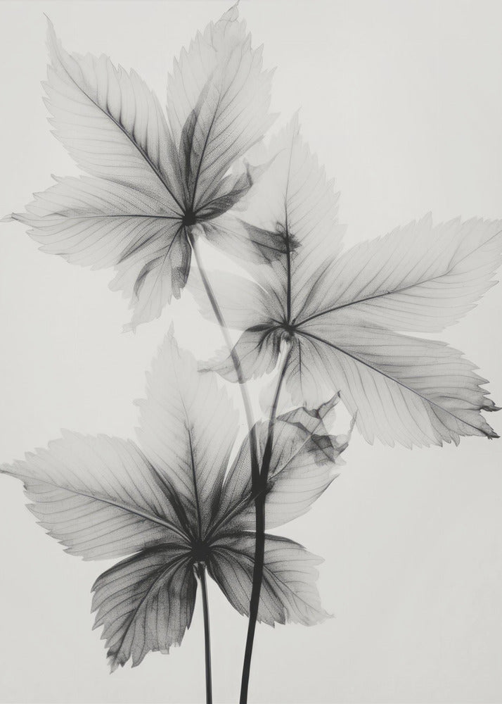 Ethereal Veins | Canvas