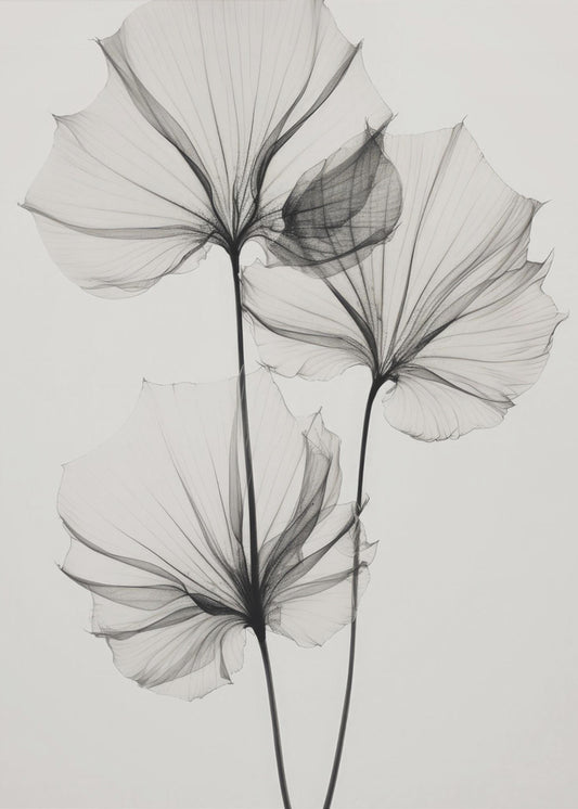 Transparent Botanic No 3 | Canvas