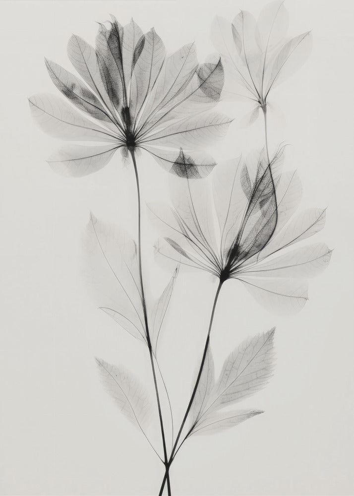 Ethereal Blossoms | Poster