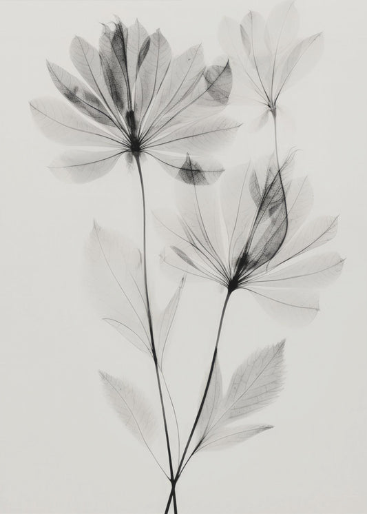 Ethereal Blossoms | Canvas