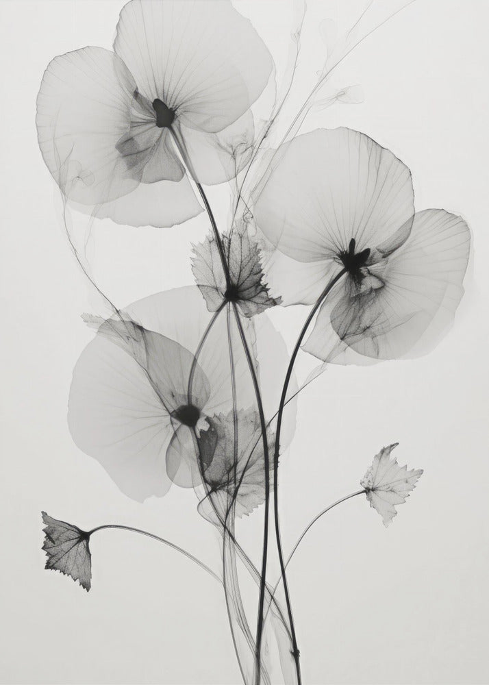 Transparent Botanic No1 | Canvas