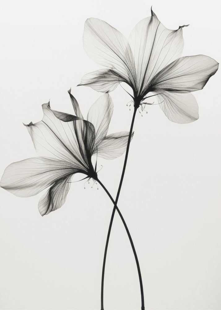 Whispers of Petals | Poster