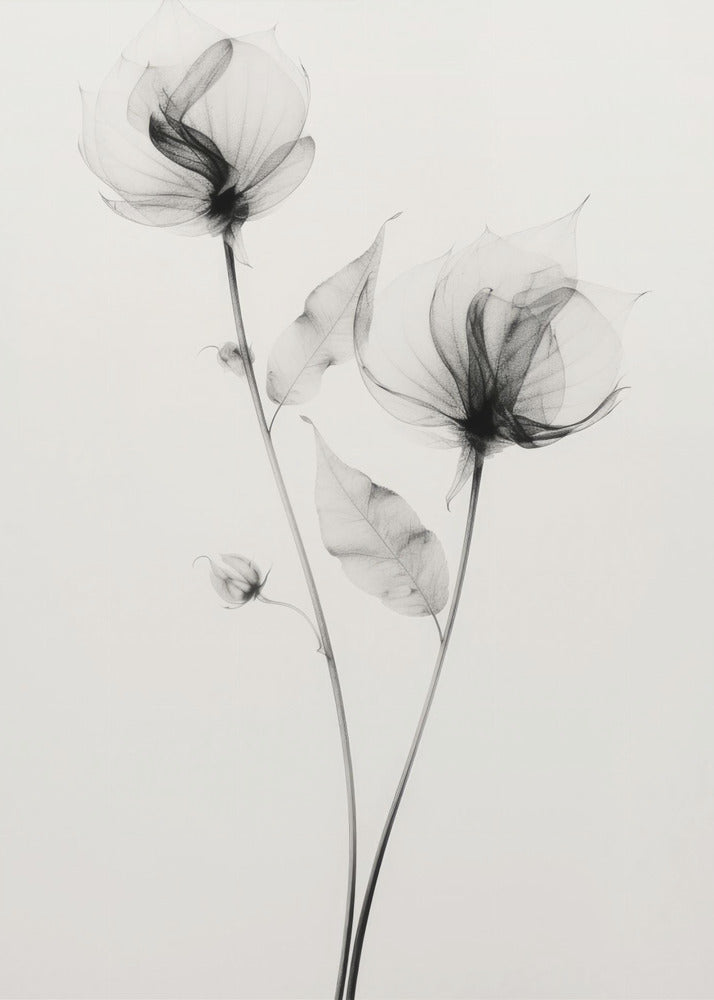 Ethereal Blooms | Canvas