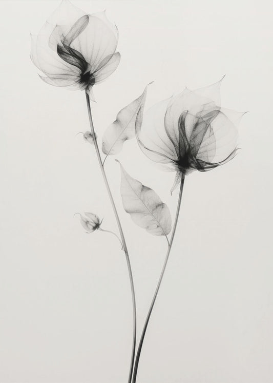 Ethereal Blooms | Canvas