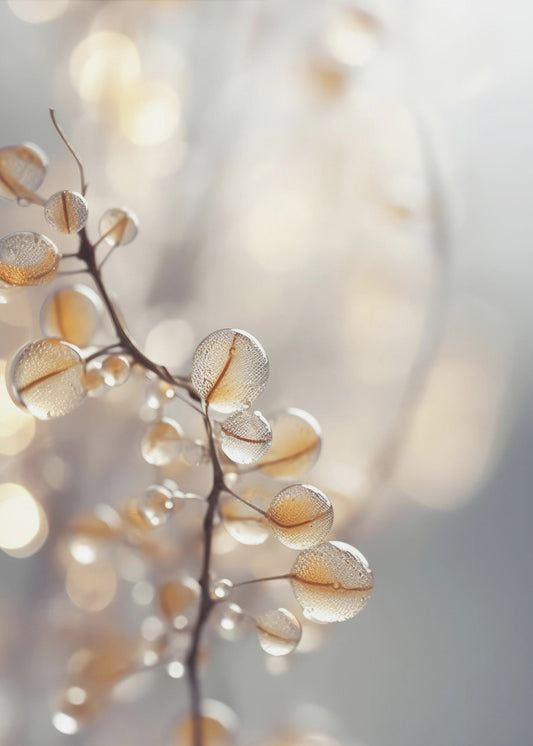 Dewy Petals Shine | Poster