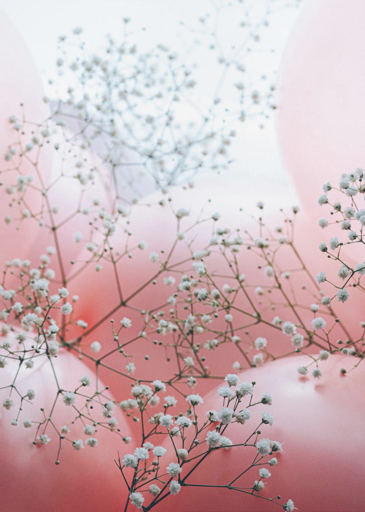 Delicate Blooms and Pink Balloons | Poster