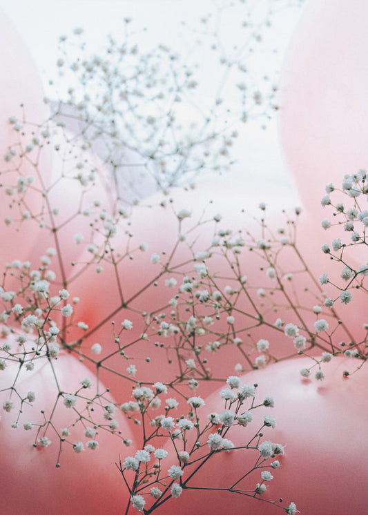 Delicate Blooms and Pink Balloons | Canvas