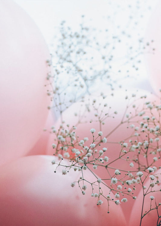 Delicate Balloons with Flower | Canvas