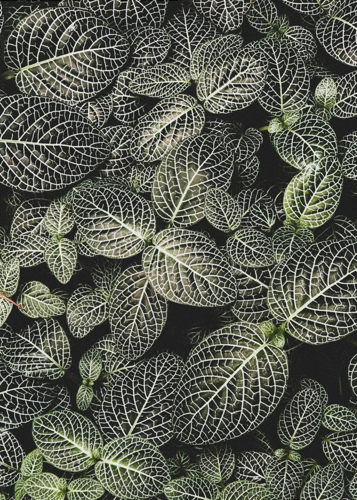 Veins of Nature | Poster
