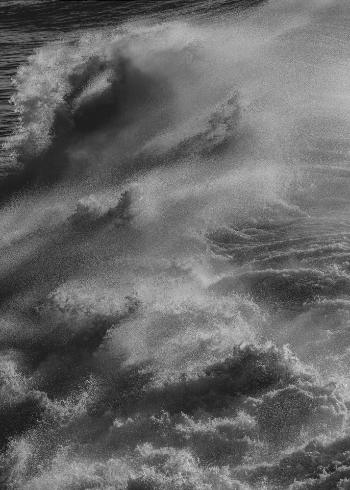 Tempest&#039;s Grace | Canvas