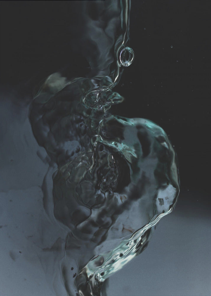 Fluid Elegance | Canvas