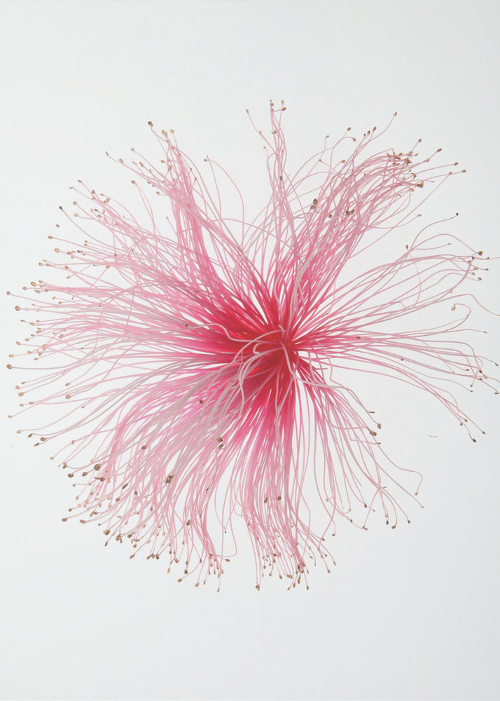 Floral Fireworks | Poster