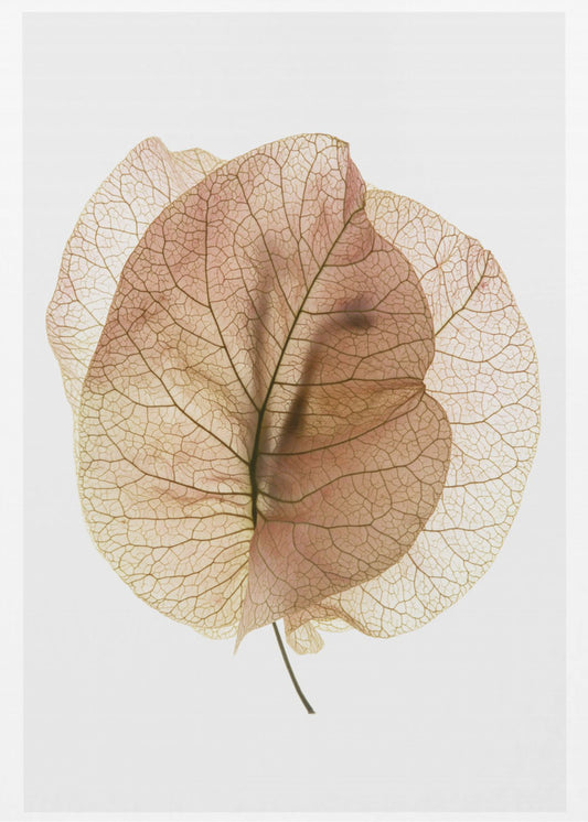 Ethereal Leaves | Canvas