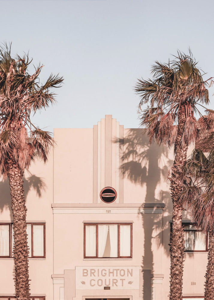 Palm Shadows | Canvas