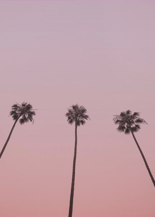 Pink Sky Trio | Poster