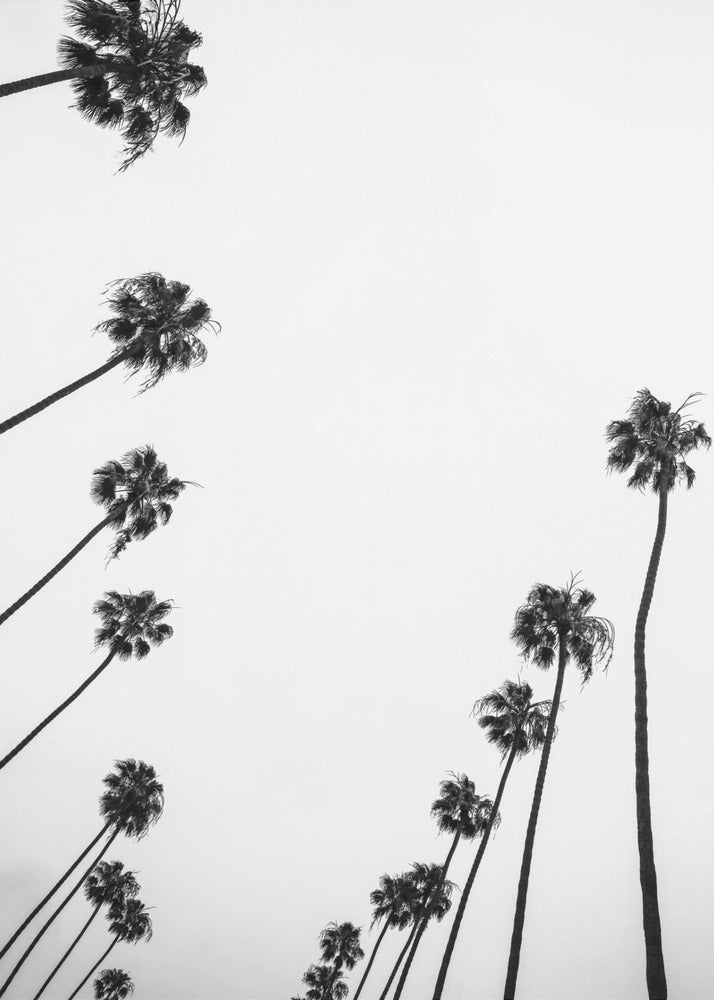 Whispers in the Sky | Poster