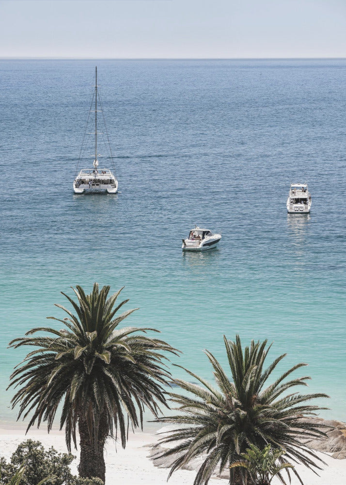 Tropical Serenity | Poster